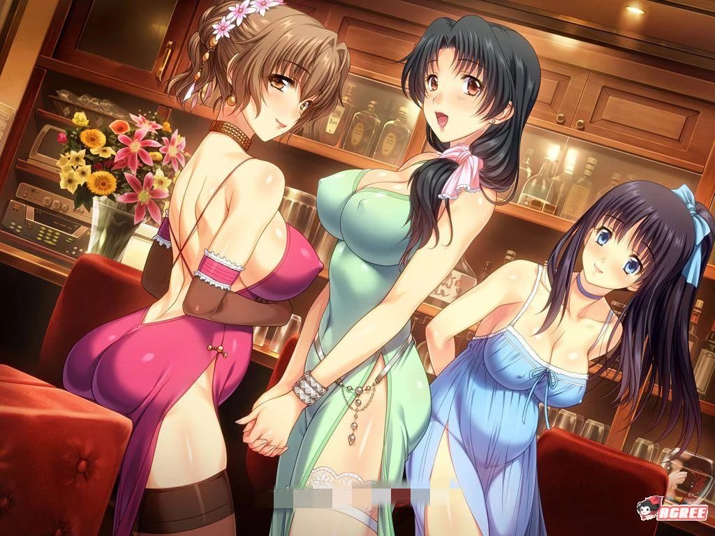 【PC/NTR神作ADV】妻中蜜：1+2+3+番外+存档+动画+CG提取包 精翻汉化完整版【6.5g】