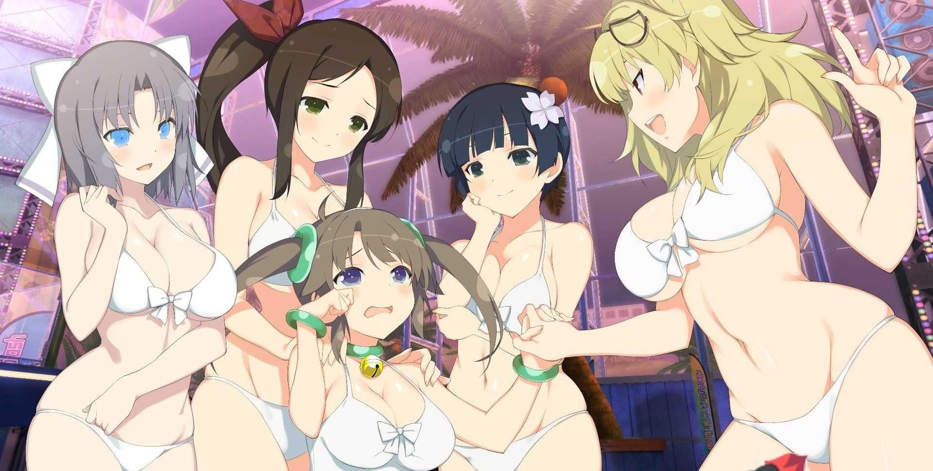 【PC/大型3D/STEAM官中/爆衣/射击/软色情】闪乱神乐-沙滩戏水/閃乱カグラ PEACH BEACH SPLASH/SENRAN KAGURA Peach Beach Splash[Ver1.08MOD整合版+全DLC+季票+整合魔改版]【21.6G】
