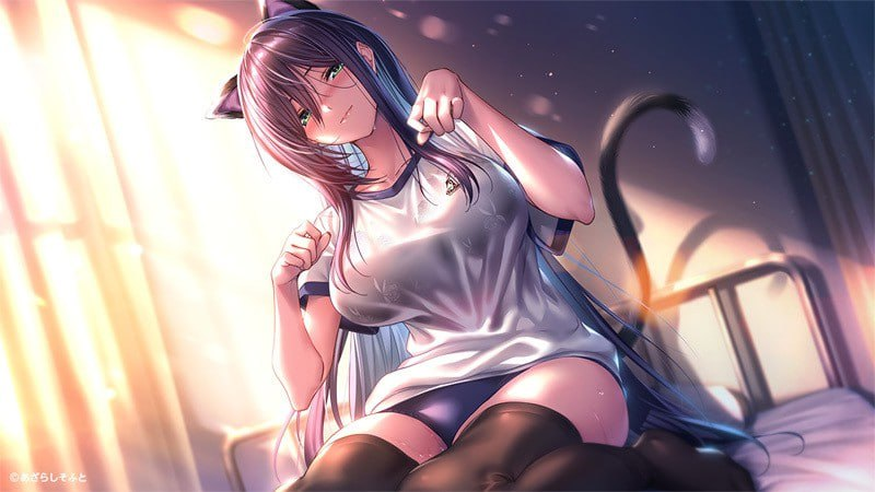 【PC/大型拔作ADV/纯爱] 甜蜜女友2+ アマカノ2＋精翻汉化+特典+全CG存档