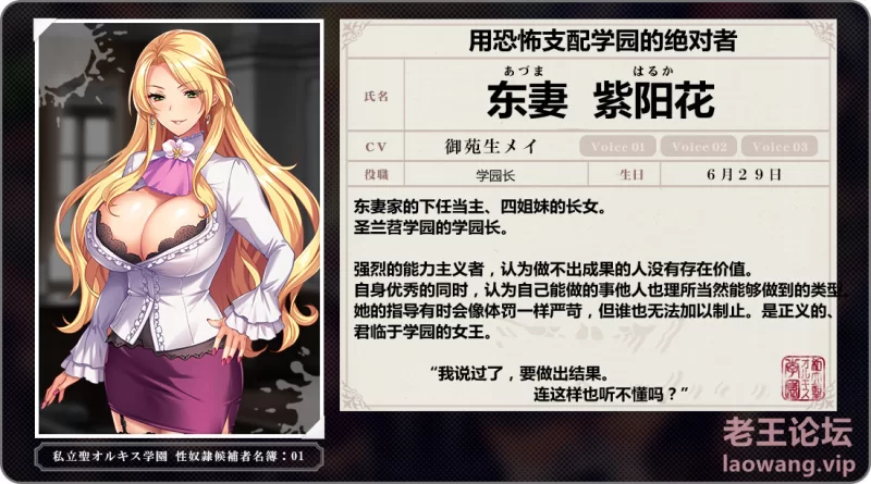 【PC/拔作ADV/高质量cg/汉化/全cg】圣女仆学院  聖奴隷学園2 [2个+3.66G]