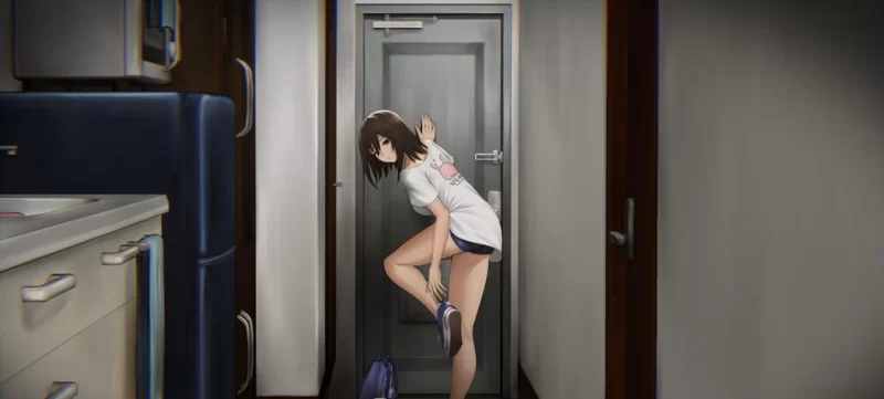 【PC/SLG/动态/中文】归途-累之夜- 官方简体中文版 [[400M]