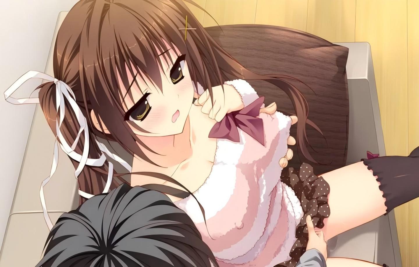 【PC/ADV/Steam】妹的圣域-妹のセイイキ v1.0【汉化/美少女/清纯/日系】【1.7G】